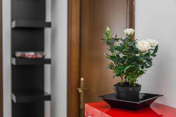 Tolli Hotel Рим Екстериор снимка